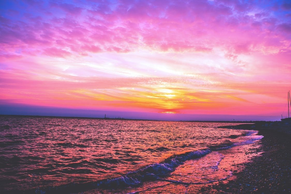  ,  -   . -   .