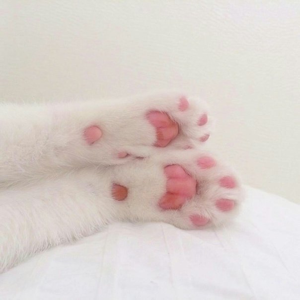     ,    ? - 2