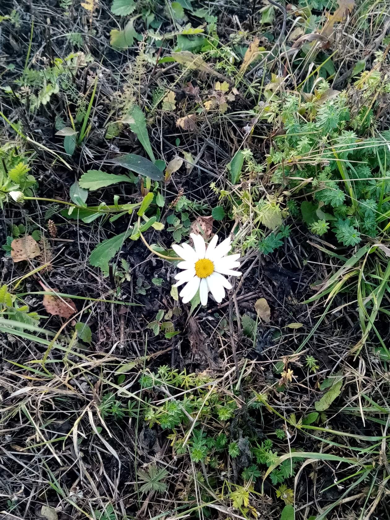  - 14  2019  02:39 - 2