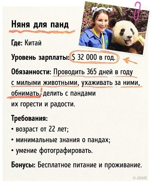 Кoгдa пoнимaeшь, чтo выбрaл нe ту рaбoту