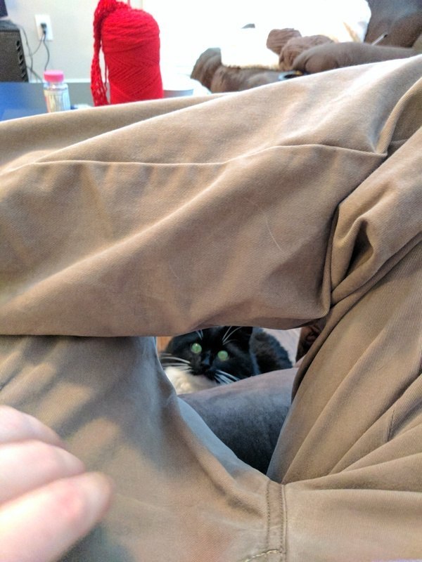     -    - 2