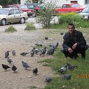 ���� Almaz, ��������, 40 ��� - ��������� 24 ������ 2019
