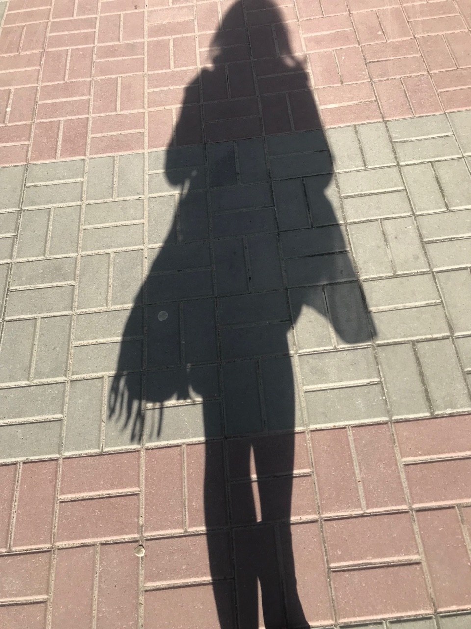  - 8  2019  04:05