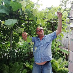 ���� �������, ��������������, 51 ��� - ��������� 30 ��� 2019