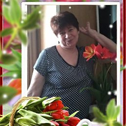 �����, ���������, 71 ���