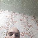 ���� �������, ���������, 41 ��� - ��������� 15 ������� 2019 � ������ ���� ����������