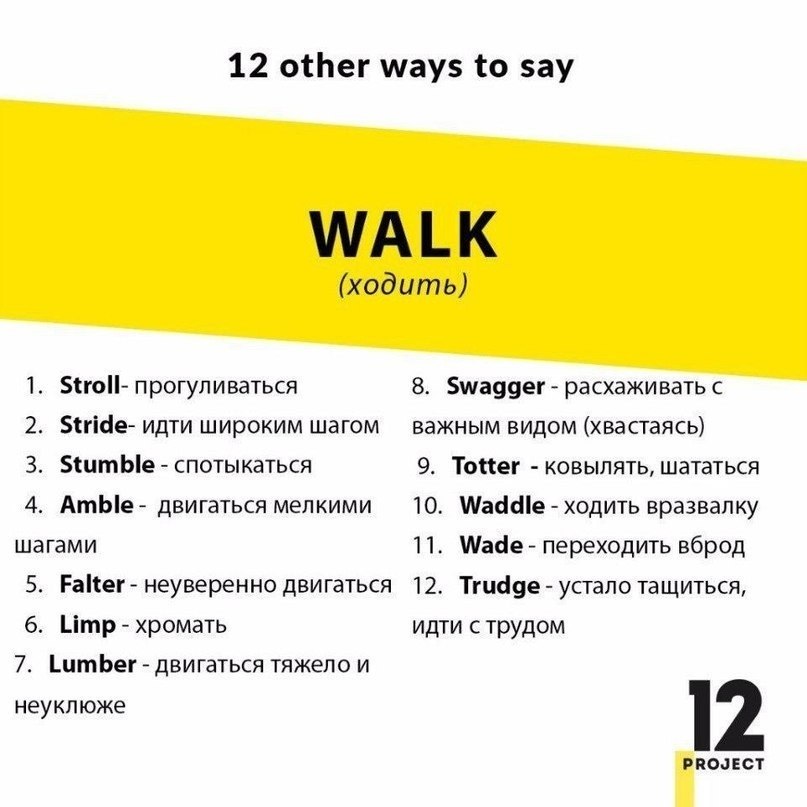  .   : - 8