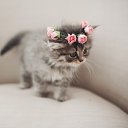 ���� ����, ����� - ��������� 26 ������� 2019 � ������ ���� ����������