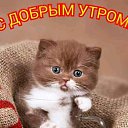 ���� ��������, ������, 47 ��� - ��������� 17 �������� 2019 � ������ ���� ����������