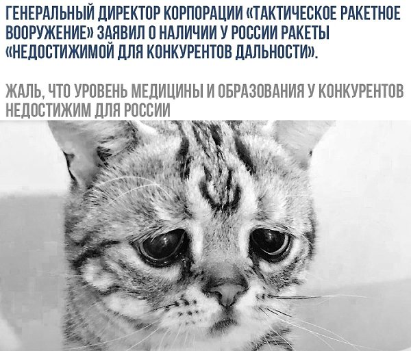    - 19  2019  02:34