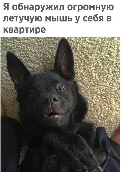  - 17  2019  19:02