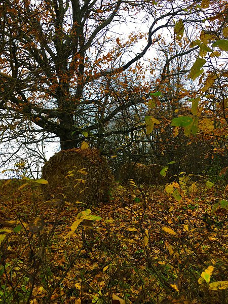 ������� ������ - 7 ������� 2019 � 19:28