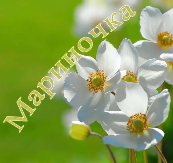   ,    . - 14  2019  22:54 - 3