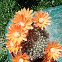 ���� Vidoje, �������, 61 ��� - ��������� 17 ������ 2019 � ������ ������ ��������