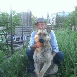 ���������, �������