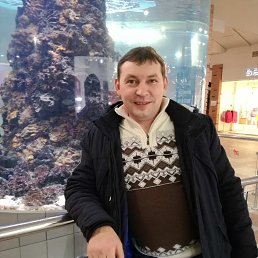 �����, �����, 49 ���