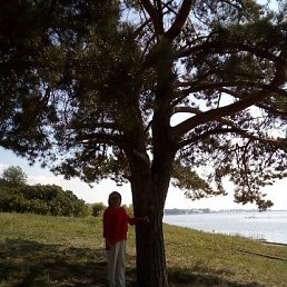 ���� �������, ��������, 73 ���� - ��������� 20 ������� 2019