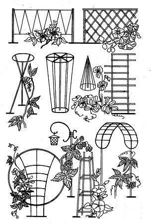 ���������� ����� ��� ������ - 5