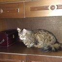  Andrew, , 49  -  9  2019   