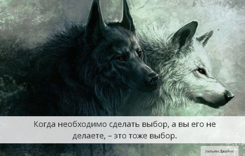    - 8  2019  19:16