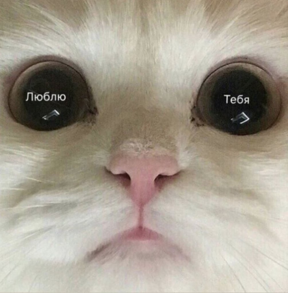    :D - 1  2019  02:23