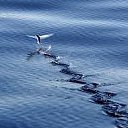 ���� �������, �����������, 74 ���� - ��������� 29 ��� 2019 � ������ ���� ����������