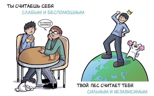Paзница между тем, как вы cебя видите, и кaк вaс вocпринимaет coбакa - 2