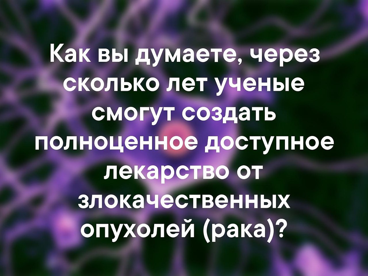    - 13  2019  03:42