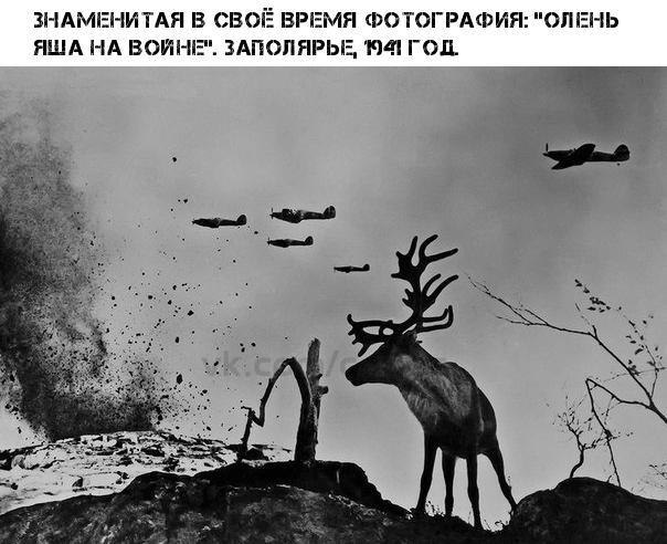   - 13  2019  19:08