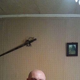 ������, ��������, 51 ���