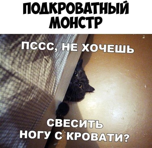    :D - 19  2019  04:00