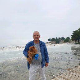 ���� ������, �������������-����������, 68 ��� - ��������� 28 ������� 2019