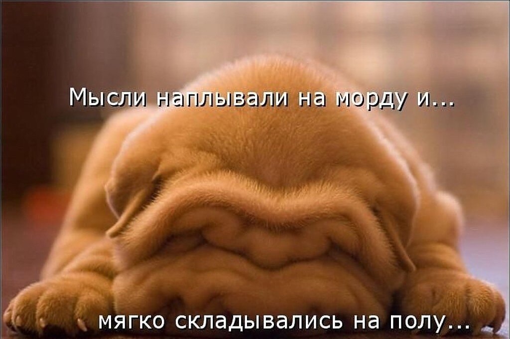 ~