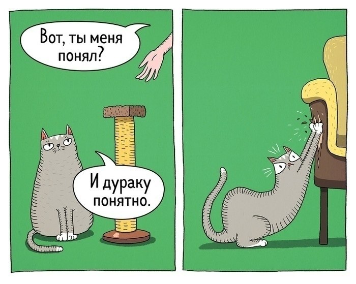      .   - 6
