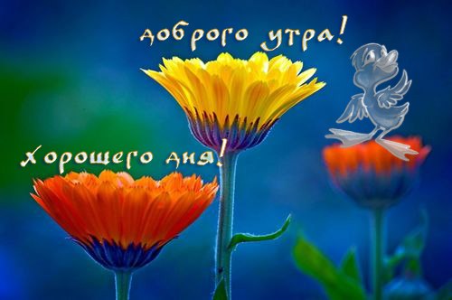 ***Victoria Viktorovna*** - 4  2019  08:17