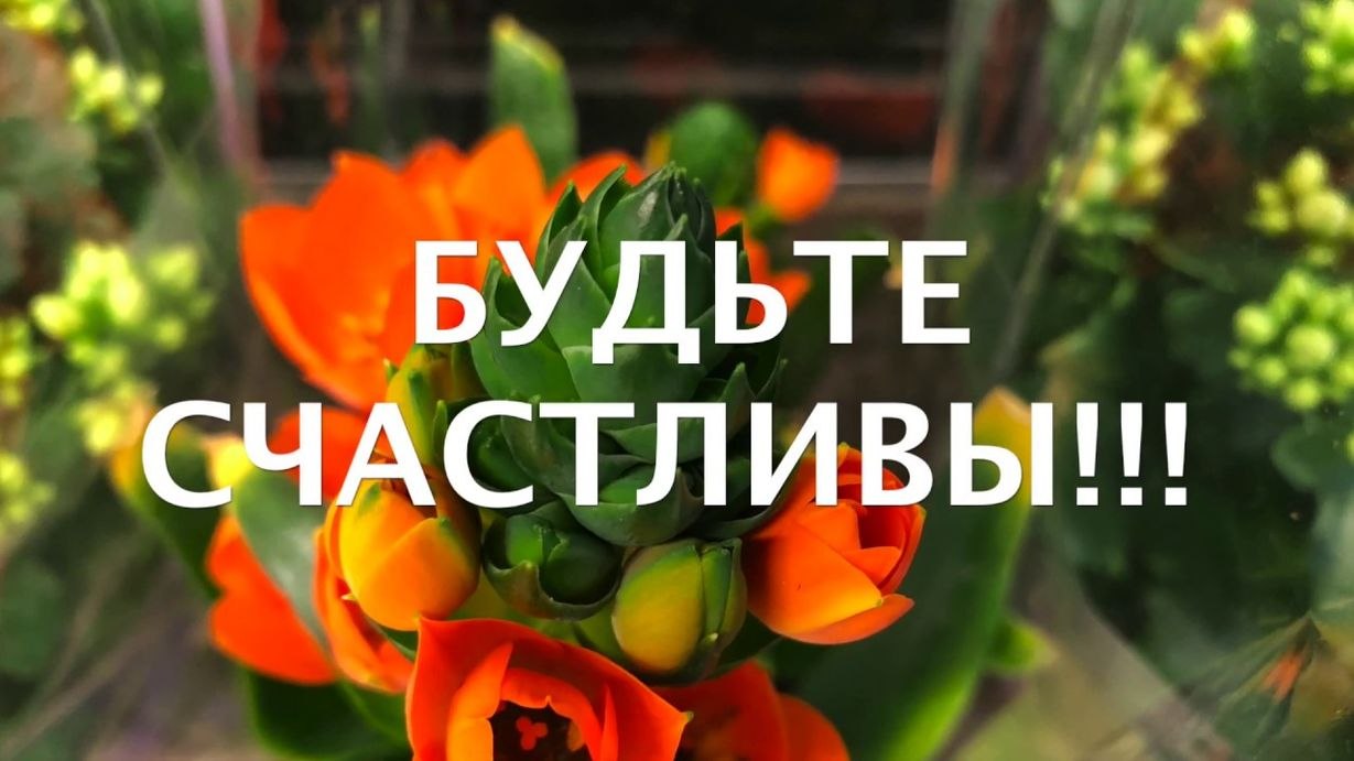   ,    . - 28  2019  20:43