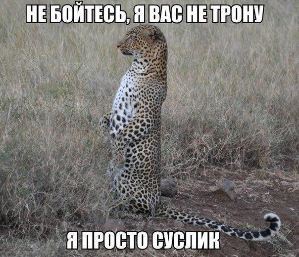    - 30  2019  03:52