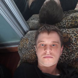 Fox, ������, 36 ���