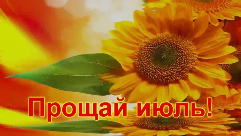   ,    . - 31  2019  22:21