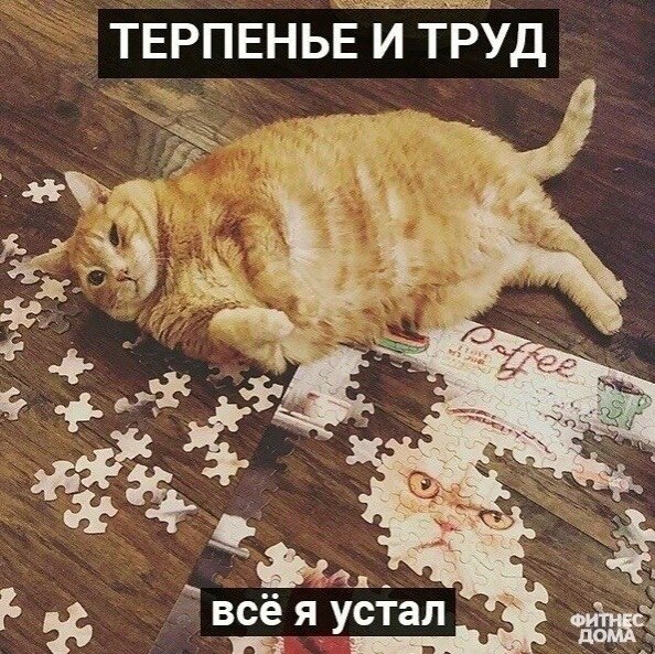 o���� ���� �o������� �a ���o���� ���� - 3