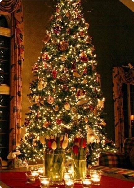  |  2016 |  |  |  - 25  2019  18:57 - 2