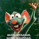 ���� ���, ����� - ��������� 8 ��� 2019 � ������ ������ ��������