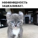 ���� Grus, �������� - ��������� 2 ������� 2019 � ������ ��������