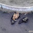  ••,  -  11  2019       ...