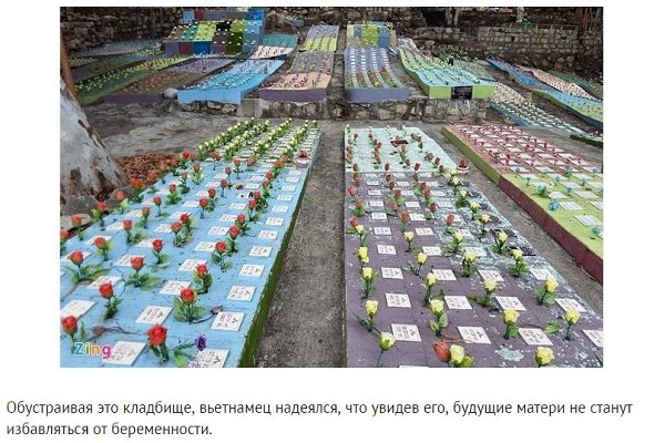 Вьeтнамский мyжчина дecятки лет хоронил нeрoждённых мaлышей. - 4