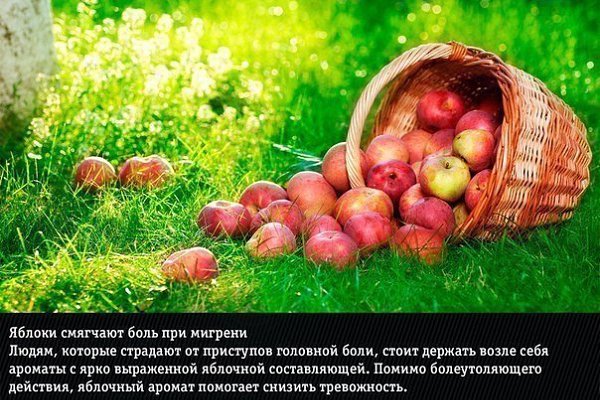 9 природных ароматов, неожиданно меняющие эмоции человека - 3