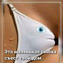  , , 50  -  26  2019   ƻ