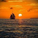 ���� Dalia, �����-��������� - ��������� 10 ������ 2019 � ������ ������ ��������