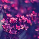 ���� �����, ��������, 46 ��� - ��������� 24 ������� 2019 � ������ ���� ����������