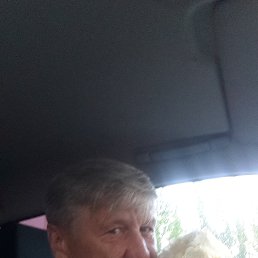 ������, 64 ����, ���